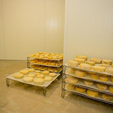 A Queijaria Hotel Barreira  Екстериор снимка